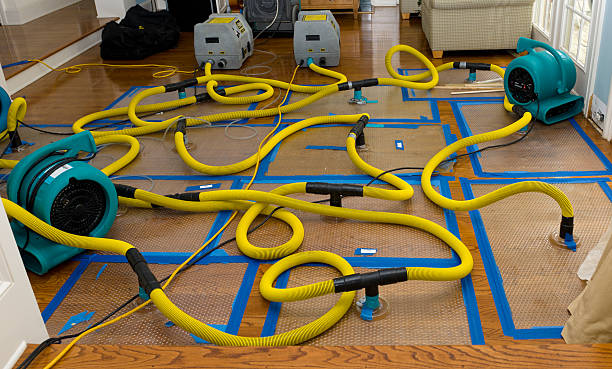 Professional Crawl Space Water Removal technician working in Elkhart Lake, WI